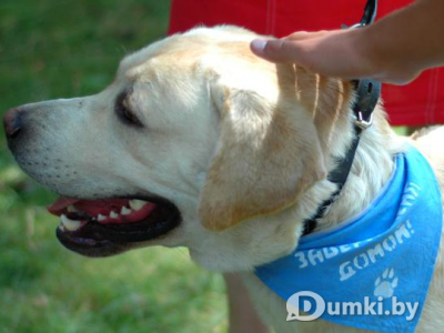 Фото компании