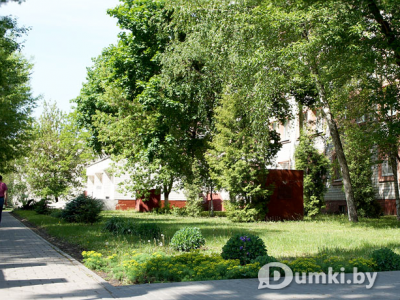 Фото компании