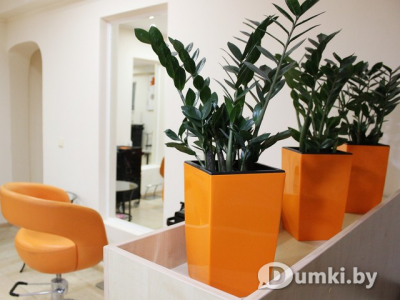 Фото компании