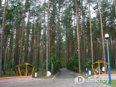 Фото компании