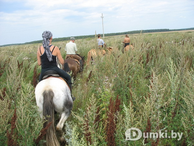 Фото компании