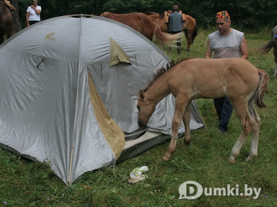 Фото компании