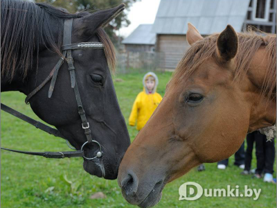 Фото компании