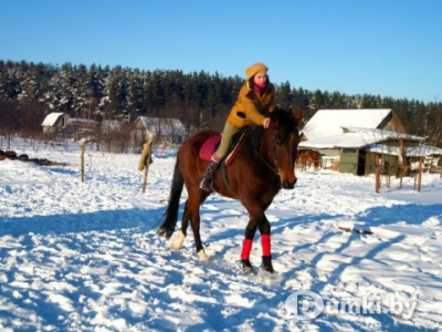 Фото компании