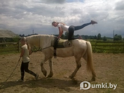 Фото компании