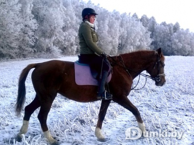 Фото компании