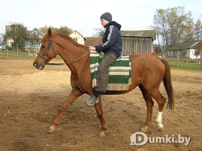 Фото компании