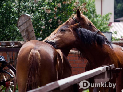 Фото компании