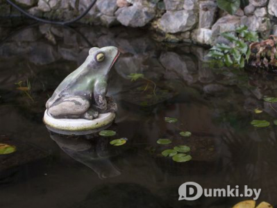 Фото компании