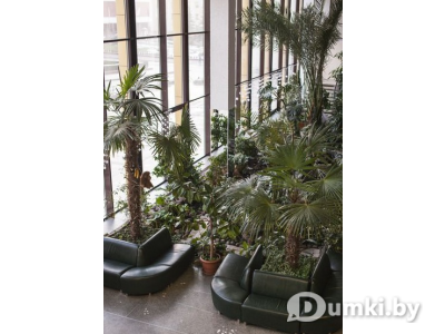 Фото компании