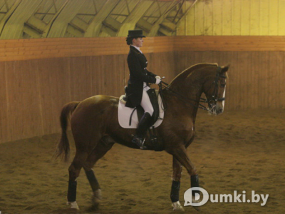 Фото компании