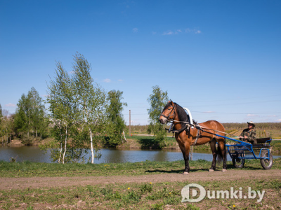 Фото компании