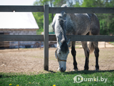 Фото компании