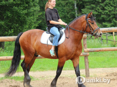 Фото компании