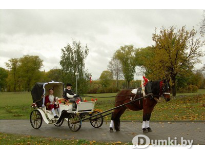 Фото компании