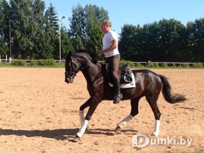 Фото компании