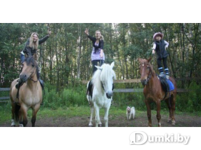 Фото компании