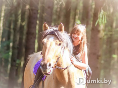 Фото компании