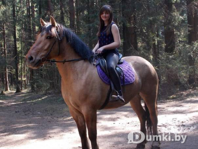 Фото компании