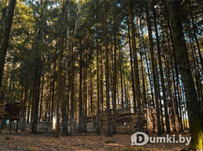 Фото компании