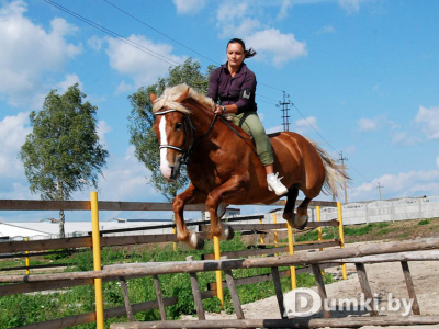 Фото компании