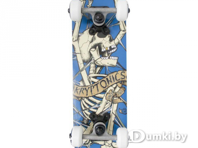 Фото компании