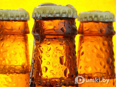 Фото компании