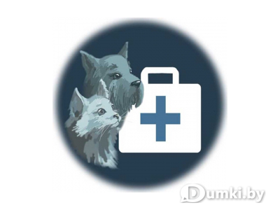 Фото компании