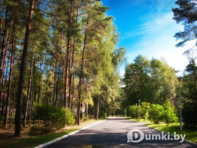 Фото компании