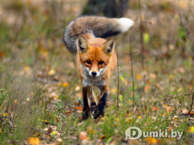 Фото компании