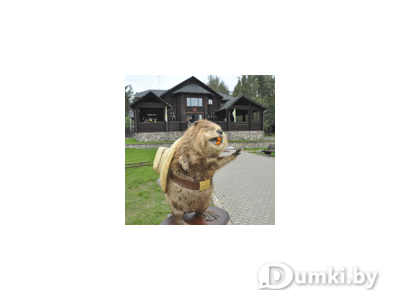 Фото компании