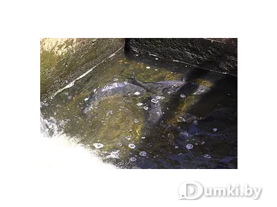 Фото компании