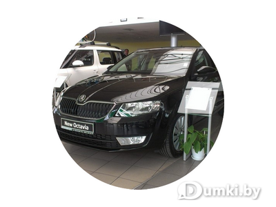 Фото компании