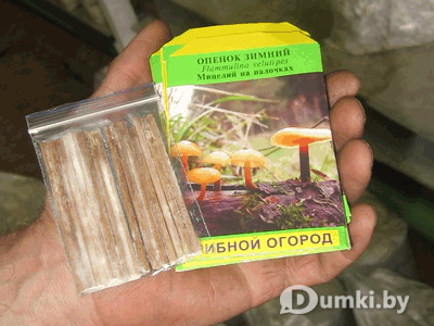 Фото компании