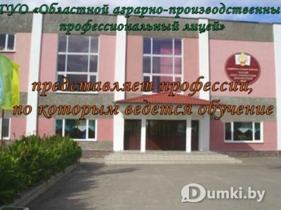 Фото компании