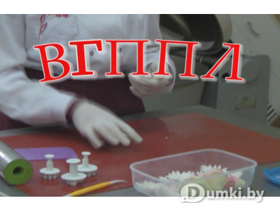 Фото компании