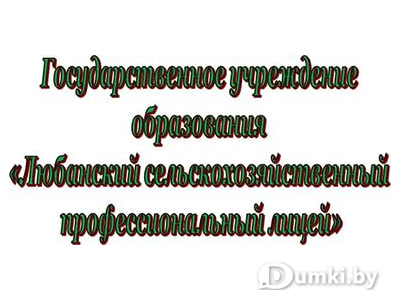 Фото компании