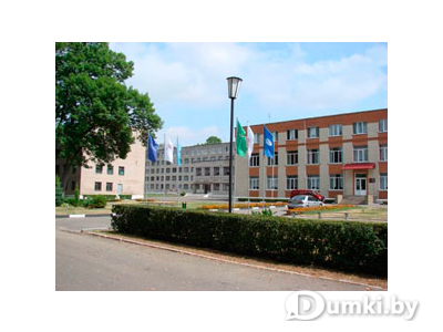 Фото компании