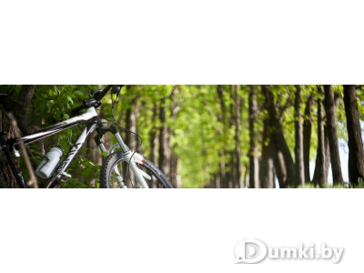 Фото компании