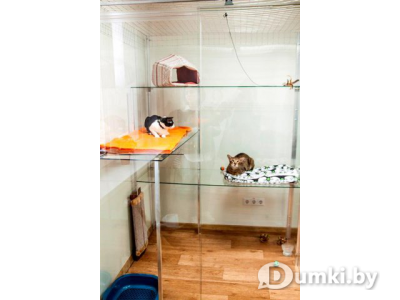 Фото компании