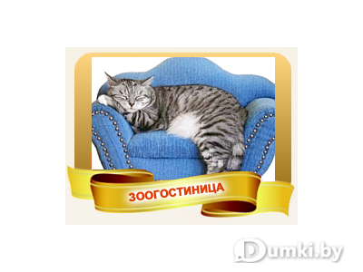 Фото компании