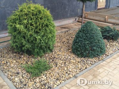 Фото компании