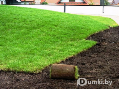 Фото компании