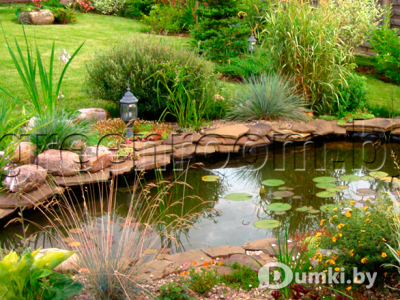 Фото компании