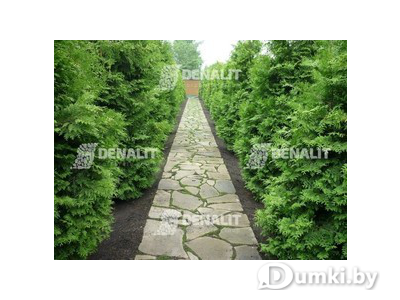 Фото компании