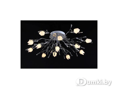 Фото компании