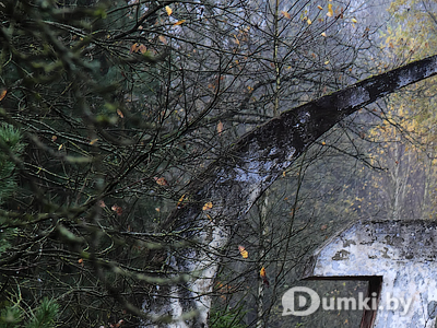 Фото компании