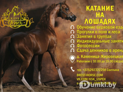 Фото компании