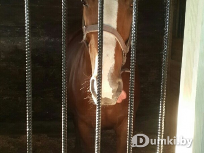 Фото компании