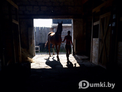 Фото компании